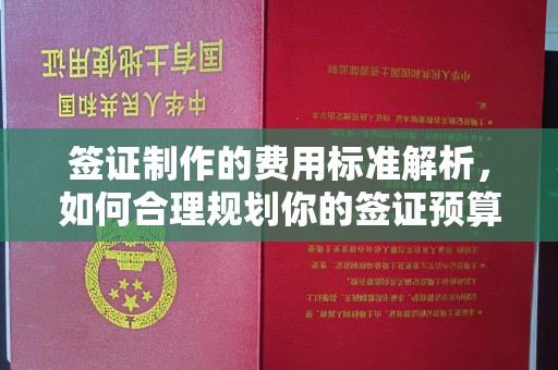 马边签证制作的费用标准解析，如何合理规划你的签证预算